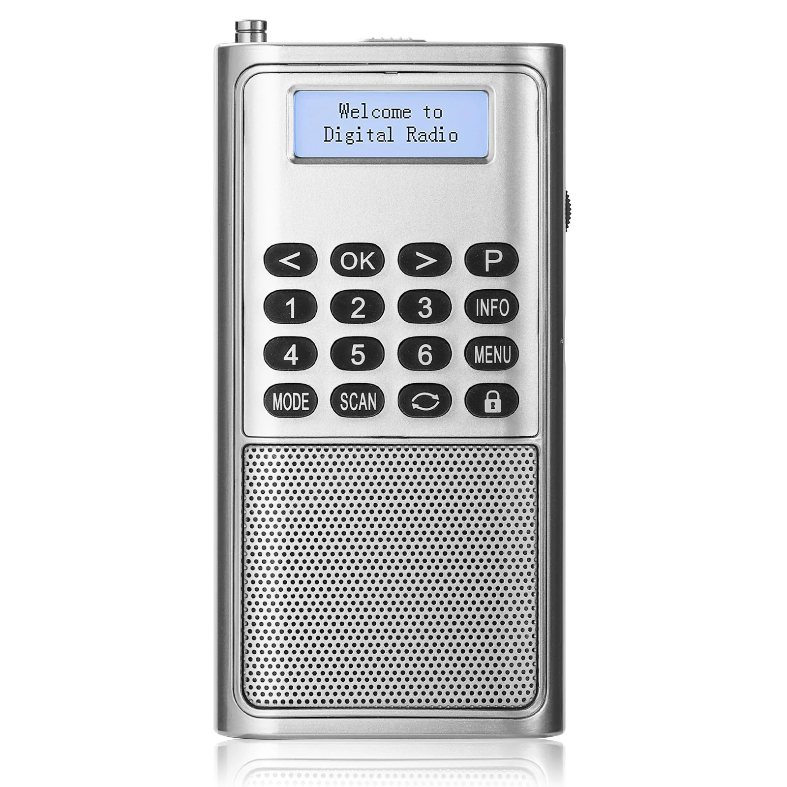 Raddy RD23 Tragbares DAB Radio | Bluetooth-Verbindung | Batteriebetrieben - Image 8