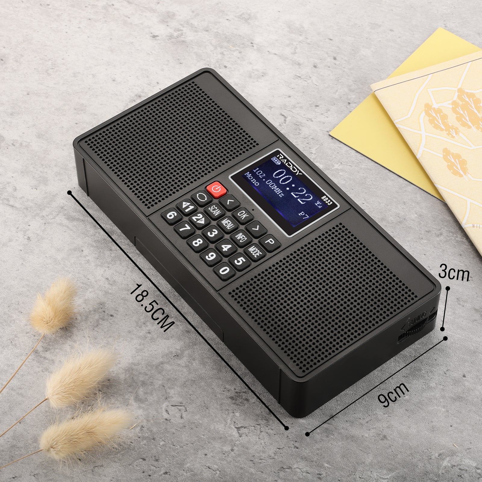 Raddy RD33 Tragbares FM DAB Radio | Digitales Wiederaufladbares | MP3 Musik-Wiedergabe | Unterstützung von Bluetooth [DISCONTINUED] - Image 6