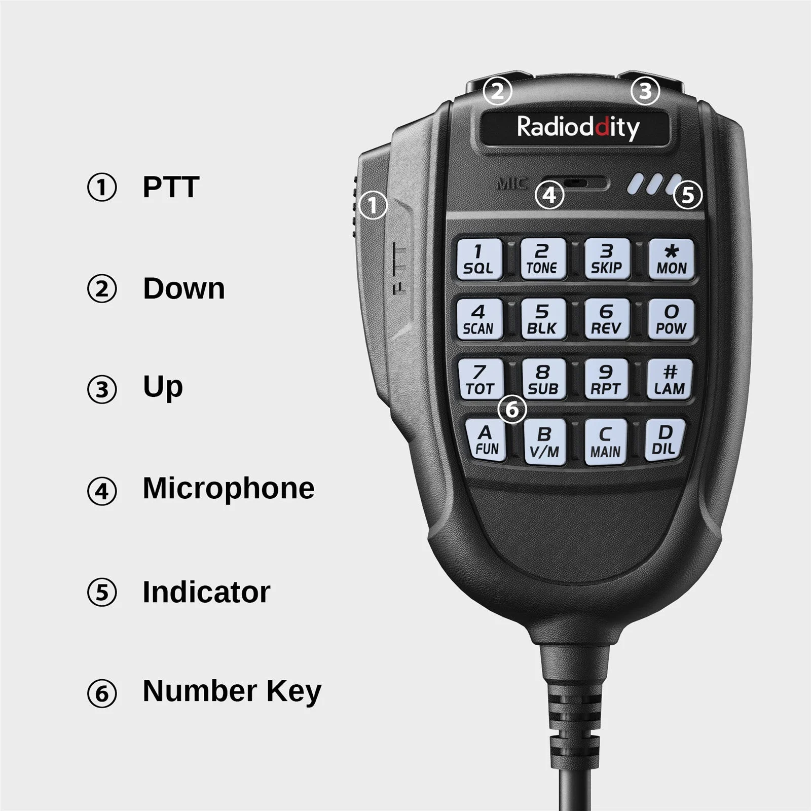 Radioddity DB20-G [OPEN BOX] - Image 7