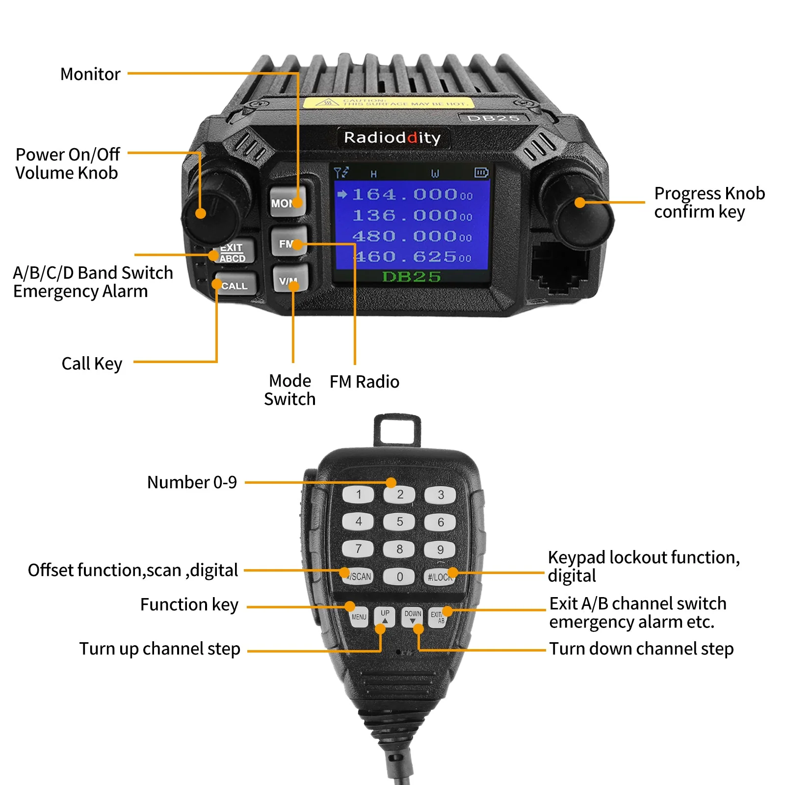 Radioddity DB25 [OPEN BOX] - Image 5